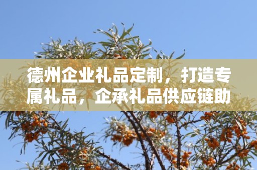 德州企业礼品定制，打造专属礼品，企承礼品供应链助力商务发展